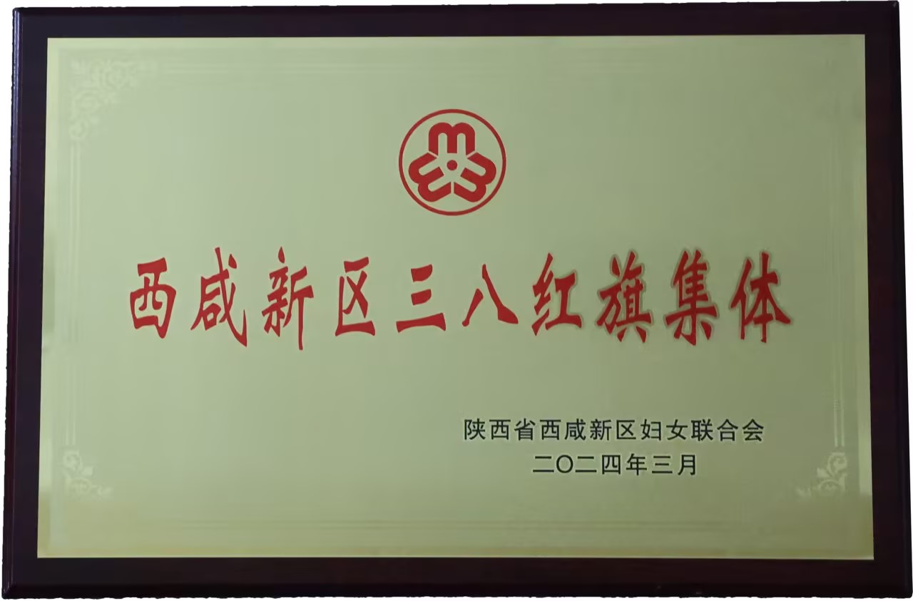 2023西咸新区三八红旗集体.jpg